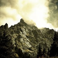 GG :: HART BAD GG :: HART BAD