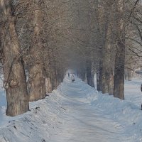 Мой город :: Венера Чуйкова