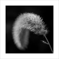 * :: Александр Иванов