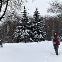 После ночного снегопада. :: Василий Палий