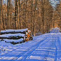 Лесозаготовка :: Андрей K. Лесозаготовка :: Андрей K.