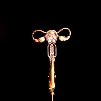 Брошь медицинская :: Андрей Л. В.