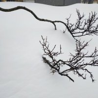 Моя Москва :: Андрей Лукьянов