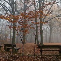 Осень в парке :: Valziwa Осень в парке :: Valziwa