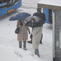 Зачем зонтик зимой? :: Валерий Иванович