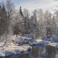 Незамерзайка. :: Николай 