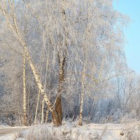 Родной край :: Татьяна Лютаева