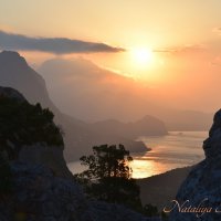 Природа Крыма :: Amazing Cosmea