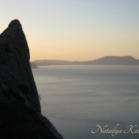 Природа Крыма :: Amazing Cosmea