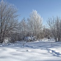 Погожий февральский денек :: Вячеслав Минаев
