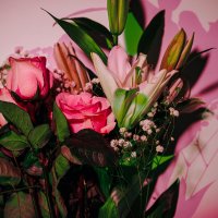 Цветы :: Илья Шенгелия