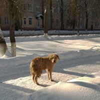 *** :: Валентина Береснева