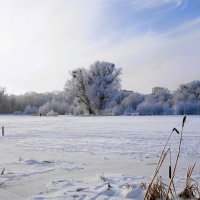 Озеро Лесное, Калининград :: Рита Симонова