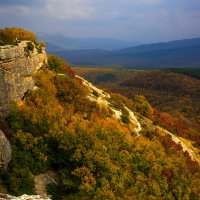 Краски осени. :: Владимир Гришин Краски осени. :: Владимир Гришин