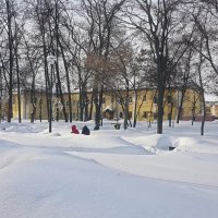 Прогулка в парке после снегопада :: Galina Solovova