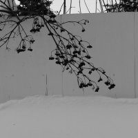 Мечты о ч/б Лейке 2. :: Михаил Елочкин Мечты о ч/б Лейке 2. :: Михаил Елочкин