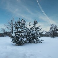 Зимний пейзаж :: Наталья ***