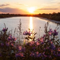 Колыванские озера :: Антон Лихач Колыванские озера :: Антон Лихач