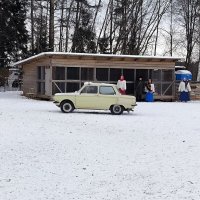 Иван - дурак приехал свататься. :: Ольга 