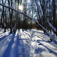 Провожаю зиму. С Масленицей, друзья! :: Андрей Лукьянов