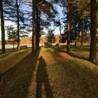 Моя тень :: Мариша 