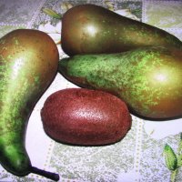 Витамины :: Людмила Смородинская