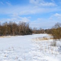 Февраль :: Милешкин Владимир Алексеевич 