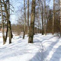 Зима в феврале :: Милешкин Владимир Алексеевич Зима в феврале :: Милешкин Владимир Алексеевич
