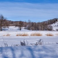 Февраль. Ждём весну... :: Ravile 