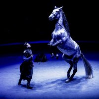 Мой ЦИРК :: Владимир Максимов