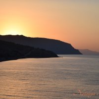 Природа Крыма :: Amazing Cosmea