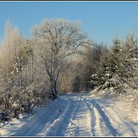 Дорога зимняя :: Aleksandr Gal