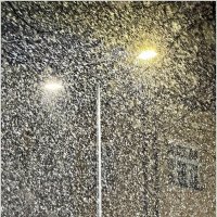 Вечерний снегопад. :: Валерия Комова