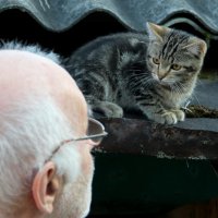 ,,Дедушка,почему у тебя такие большие глазки?,, :: жанна нечаева