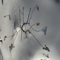 Весна уде близко. Время зимы уходит. :: Pippa