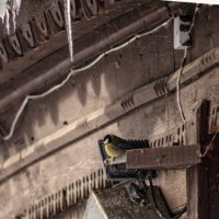 Отдых :: sorovey Sol