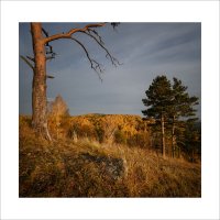 * :: Александр Иванов