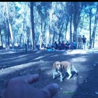 115 (116) :: CLOSE WAYS ALL