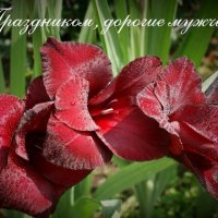 Поздравляю мужчин с Днем защитника Отечества! :: Галина Нестратова