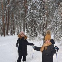Лыжницы :: Андрей Хлопонин
