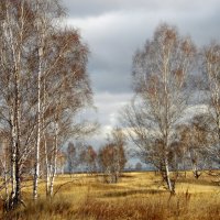 Ещё недавно была осень. :: nadyasilyuk Вознюк