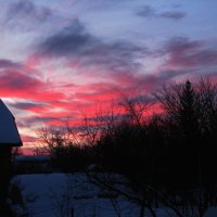 Яркое утро февраля :: Людмила Смородинская