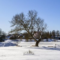 Берега Каменки :: Сергей Цветков