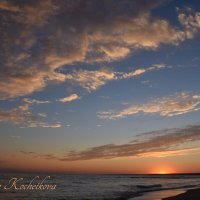 Природа Крыма :: Amazing Cosmea