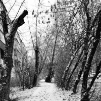 Следы.... :: Сергей Клапишевский Следы.... :: Сергей Клапишевский