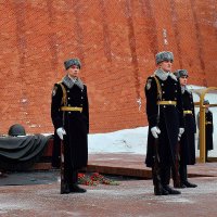 Церемония смены Почетного караула. :: Татьяна Помогалова