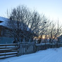 Зима в Кузомени :: Ольга 