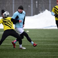 Борьба за мяч. :: Наталья Вязигина