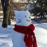 Веселый снеговик :: ИРЭН@ .