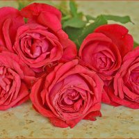 С 23 февраля! :: Валентина  Нефёдова 